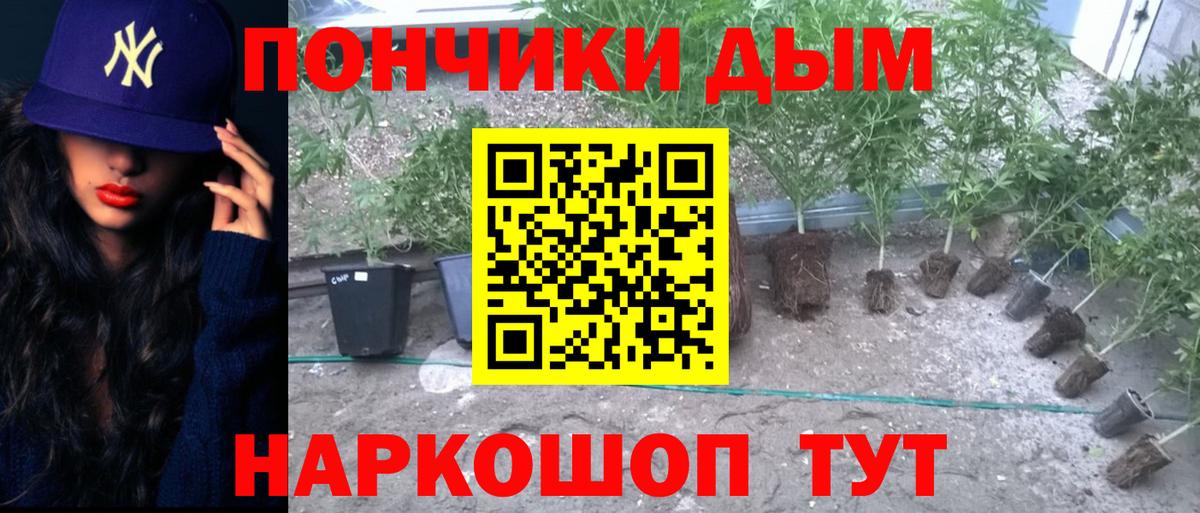 Усть-Джегута  Конопля Amnesia  Вход с VPN  Марихуана Ganja  Бошки марихуана THC 21%  Каннабис Bruce Banner 
